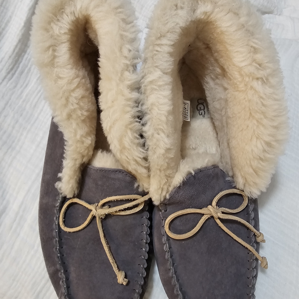 UGG Alena Women's Cozy Gray Suede Slippers